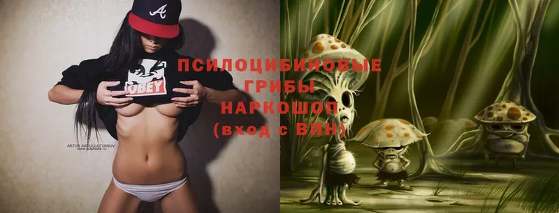 Псилоцибиновые грибы Magic Shrooms  Кушва 